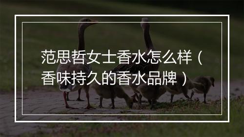 范思哲女士香水怎么样（香味持久的香水品牌）