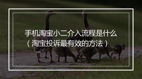 手机淘宝小二介入流程是什么（淘宝投诉最有效的方法）