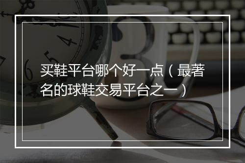 买鞋平台哪个好一点（最著名的球鞋交易平台之一）