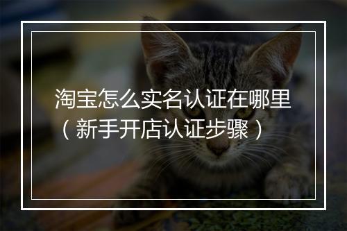 淘宝怎么实名认证在哪里（新手开店认证步骤）