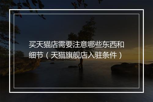 买天猫店需要注意哪些东西和细节（天猫旗舰店入驻条件）