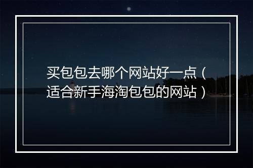 买包包去哪个网站好一点（适合新手海淘包包的网站）