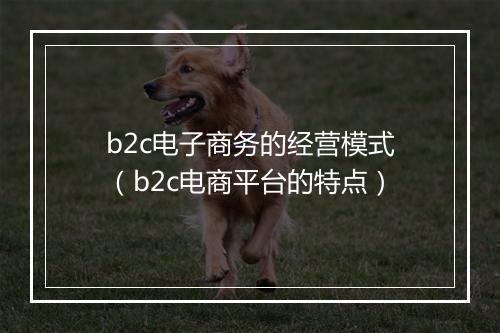 b2c电子商务的经营模式（b2c电商平台的特点）
