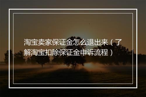 淘宝卖家保证金怎么退出来（了解淘宝扣除保证金申诉流程）