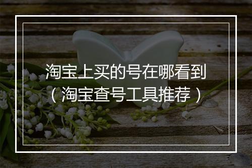 淘宝上买的号在哪看到（淘宝查号工具推荐）