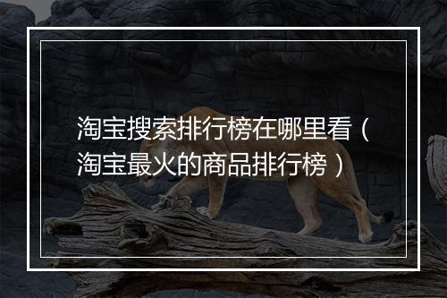 淘宝搜索排行榜在哪里看（淘宝最火的商品排行榜）