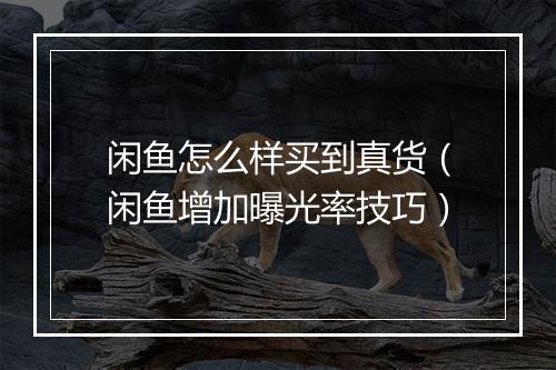 闲鱼怎么样买到真货（闲鱼增加曝光率技巧）