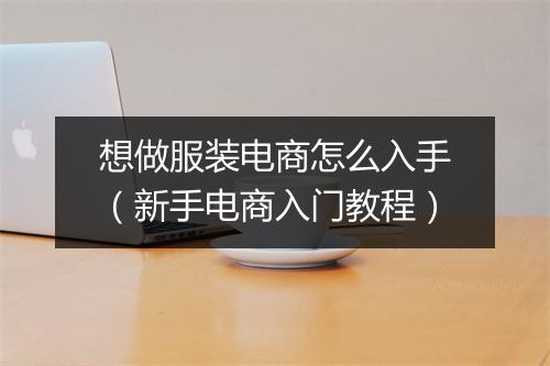 想做服装电商怎么入手（新手电商入门教程）