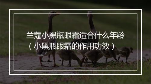 兰蔻小黑瓶眼霜适合什么年龄（小黑瓶眼霜的作用功效）