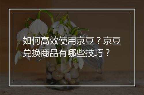 如何高效使用京豆？京豆兑换商品有哪些技巧？