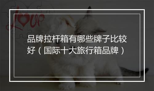 品牌拉杆箱有哪些牌子比较好（国际十大旅行箱品牌）