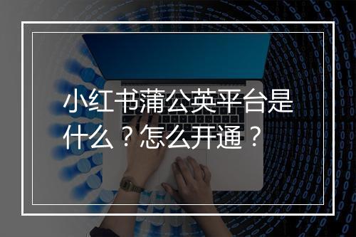 小红书蒲公英平台是什么？怎么开通？