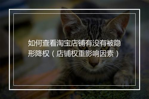 如何查看淘宝店铺有没有被隐形降权（店铺权重影响因素）