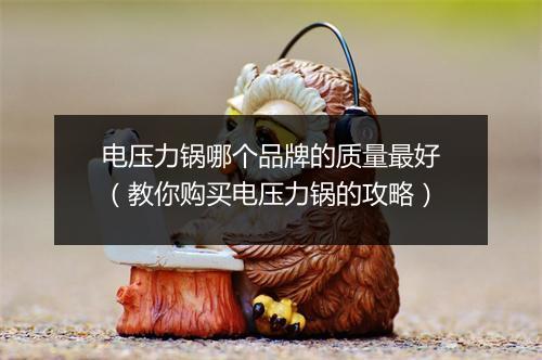电压力锅哪个品牌的质量最好（教你购买电压力锅的攻略）
