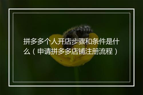 拼多多个人开店步骤和条件是什么（申请拼多多店铺注册流程）
