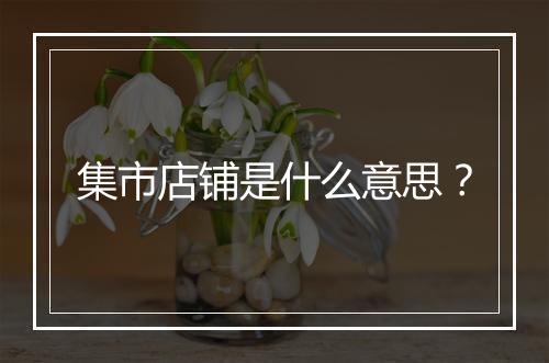 集市店铺是什么意思？