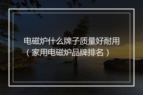 电磁炉什么牌子质量好耐用（家用电磁炉品牌排名）