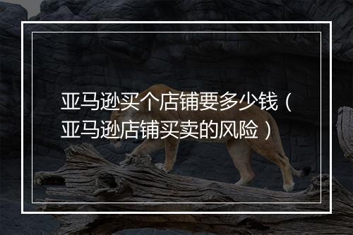 亚马逊买个店铺要多少钱（亚马逊店铺买卖的风险）