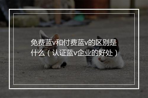 免费蓝v和付费蓝v的区别是什么（认证蓝v企业的好处）