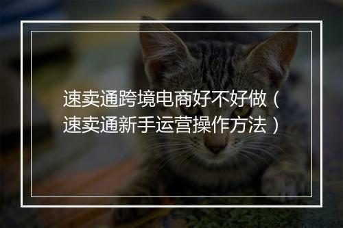 速卖通跨境电商好不好做（速卖通新手运营操作方法）