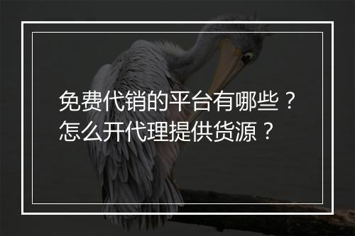 免费代销的平台有哪些？怎么开代理提供货源？