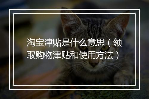淘宝津贴是什么意思（领取购物津贴和使用方法）