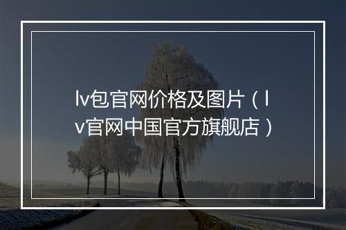 lv包官网价格及图片（lv官网中国官方旗舰店）