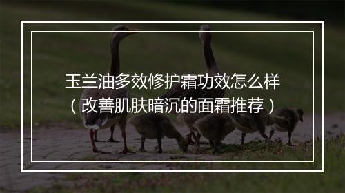 玉兰油多效修护霜功效怎么样（改善肌肤暗沉的面霜推荐）