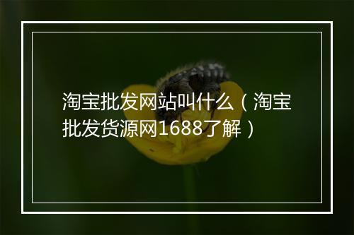 淘宝批发网站叫什么（淘宝批发货源网1688了解）