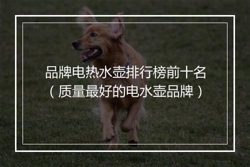 品牌电热水壶排行榜前十名（质量最好的电水壶品牌）