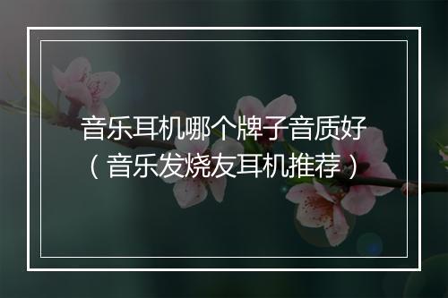 音乐耳机哪个牌子音质好（音乐发烧友耳机推荐）