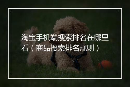淘宝手机端搜索排名在哪里看（商品搜索排名规则）
