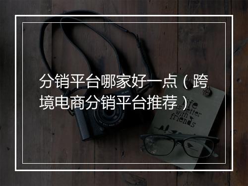 分销平台哪家好一点（跨境电商分销平台推荐）