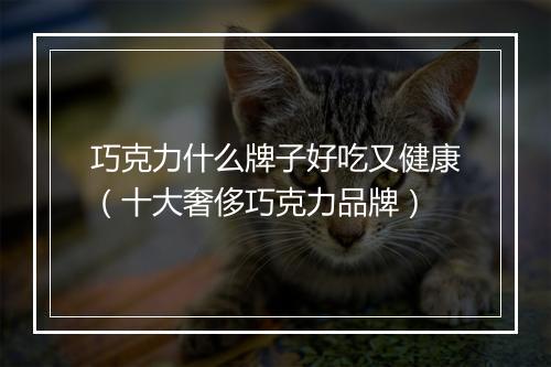 巧克力什么牌子好吃又健康（十大奢侈巧克力品牌）