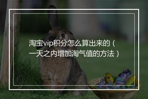 淘宝vip积分怎么算出来的（一天之内增加淘气值的方法）