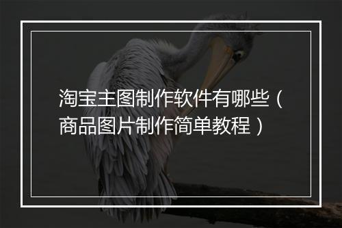 淘宝主图制作软件有哪些（商品图片制作简单教程）