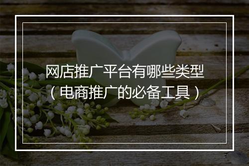 网店推广平台有哪些类型（电商推广的必备工具）