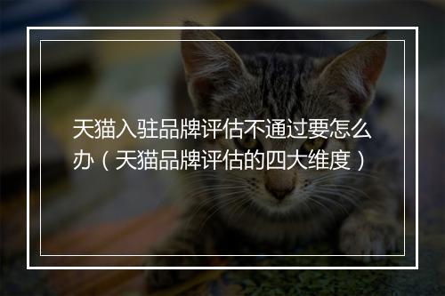 天猫入驻品牌评估不通过要怎么办（天猫品牌评估的四大维度）