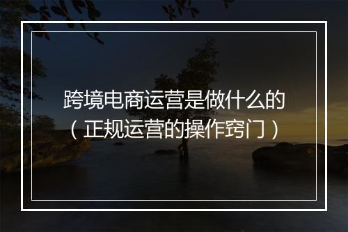 跨境电商运营是做什么的（正规运营的操作窍门）