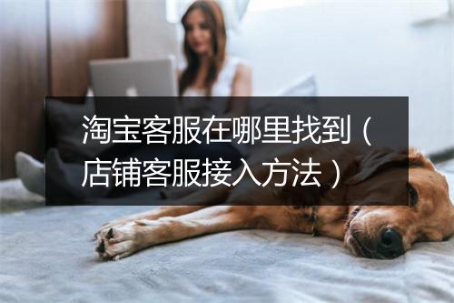淘宝客服在哪里找到（店铺客服接入方法）