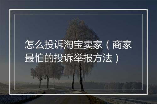 怎么投诉淘宝卖家（商家最怕的投诉举报方法）