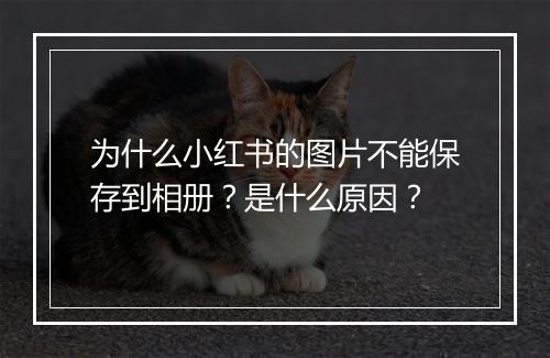 为什么小红书的图片不能保存到相册？是什么原因？
