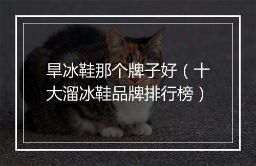 旱冰鞋那个牌子好（十大溜冰鞋品牌排行榜）