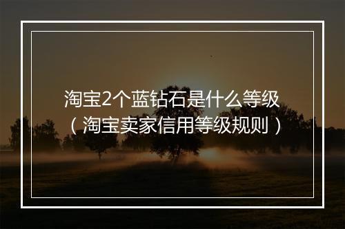淘宝2个蓝钻石是什么等级（淘宝卖家信用等级规则）