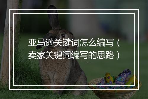 亚马逊关键词怎么编写（卖家关键词编写的思路）