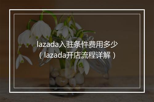 lazada入驻条件费用多少（lazada开店流程详解）