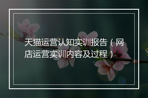 天猫运营认知实训报告（网店运营实训内容及过程）
