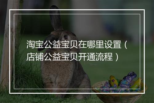 淘宝公益宝贝在哪里设置（店铺公益宝贝开通流程）