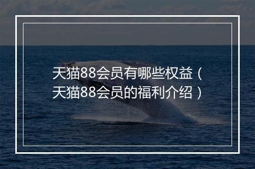 天猫88会员有哪些权益（天猫88会员的福利介绍）