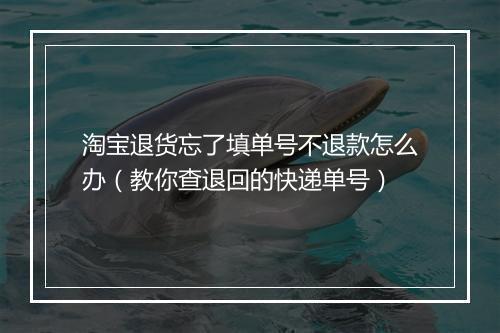 淘宝退货忘了填单号不退款怎么办（教你查退回的快递单号）